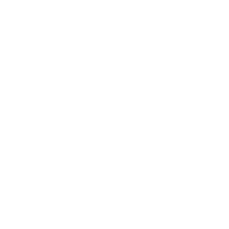 Logo Groupe Hasnaoui